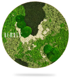 Une composition circulaire de différentes nuances et textures de mousse verte et blanche. Le design luxuriant présente des grappes de lichen vert vif, vert foncé et blanc, disposées artistiquement pour créer un motif naturel et organique. Le logo BEMOSS® est visible à gauche, mettant en valeur ce magnifique Tableau de mousse rond BEMOSS® ORTHO GREEN.