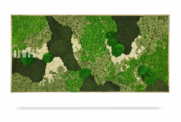 Un cadre rectangulaire en bois contient une œuvre d'art faite de mousse préservée verte et blanche, formant un motif abstrait. Le mot « BEMOSS » est écrit en blanc dans le coin inférieur gauche. Ce Tableau de mousse BEMOSS® ORTHO GREEN présente des nuances et des textures variées, créant un aspect luxuriant et organique.