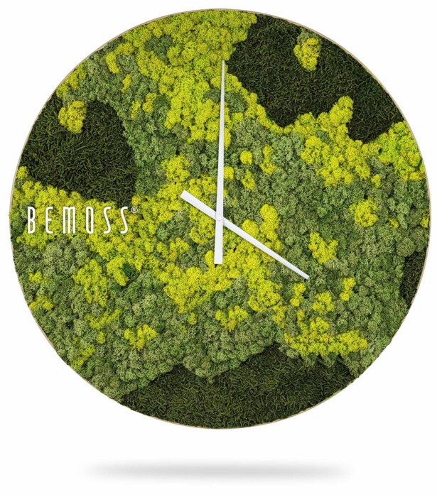 Horloge murale moderne de forme ovale avec un fond de mousse naturelle dans différentes nuances de vert et de jaune. L'horloge comporte des aiguilles blanches des heures et des minutes, sans chiffres. Le mot « BEMOSS » est imprimé sur le côté gauche, mettant en valeur son design unique d'Horloge de mousse BEMOSS® ORTHO LIME.