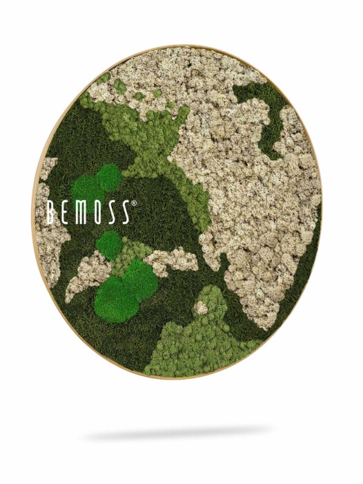 Une œuvre d'art mural circulaire de BEMOSS® ORTHO NATURAL présentant une carte du monde texturée réalisée avec différentes nuances de mousse préservée verte et beige, créant un élément de décoration naturel et écologique avec une esthétique moderne. Parfait pour ceux qui apprécient les murs en mousse et souhaitent introduire la nature dans leur espace.