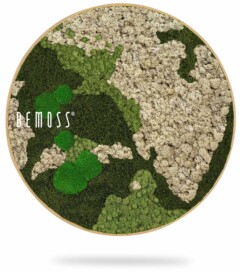 Une œuvre d'art murale circulaire de BEMOSS présentant un motif de carte du monde, réalisé avec différentes nuances de mousse verte et beige. Les textures et les couleurs créent une représentation tactile des continents, encadrée par une fine bordure en bois. Ce Tableau de mousse rond BEMOSS® ORTHO NATURAL apporte une touche de nature à n'importe quel espace.