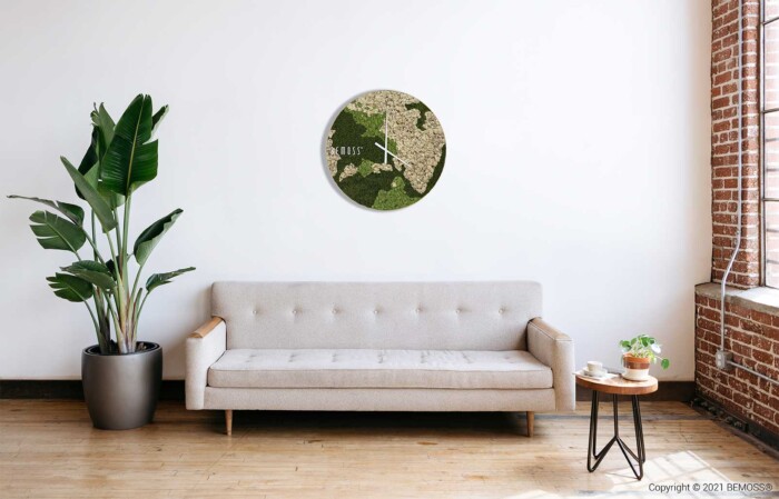 Salon minimaliste avec un canapé gris clair contre un mur blanc. Une grande plante en pot se trouve à gauche et une petite table d'appoint en bois avec une plante et des livres se trouve à droite. Une Horloge de mousse BEMOSS® ORTHO NATURAL est suspendue au-dessus du canapé.