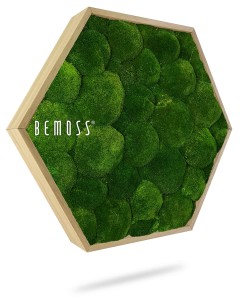 Un cadre en bois hexagonal rempli d’un matériau vert vif ressemblant à de la mousse est suspendu sur un fond blanc. Les mots « Tableau de mousse Ellipse BEMOSS® ORTHO OLVERA » sont affichés sur le côté gauche du cadre, créant un exemple frappant de murs en mousse.