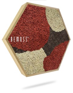 Hexagone de mousse BEMOSS® ORTHO SIENNA avec un cadre en bois, présentant un motif de mousse texturé et multicolore en rouge, marron et crème. Les couleurs forment des formes abstraites qui se chevauchent dans le cadre. Ce superbe tableau de mousse ajoute une touche unique à votre décor.