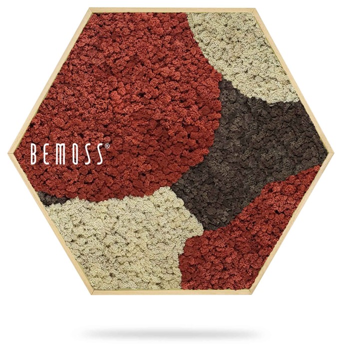 Une œuvre d'art de BEMOSS comportant un cadre en bois hexagonal rempli d'un motif texturé et multicolore de mousse préservée dans des tons de rouge, blanc et marron foncé. Le design crée un paysage abstrait et naturel rappelant les murs en mousse. L'œuvre Hexagone de mousse BEMOSS® ORTHO SIENNA est suspendue sur un fond blanc.