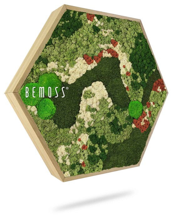 Le cadre hexagonal en bois présente une œuvre d'art en mousse verte vibrante avec des teintes mélangées de vert, de blanc et de rouge, créant un motif naturel et texturé. Le nom de la marque « BEMOSS » est imprimé en blanc sur le côté gauche. Ce superbe Tableau de mousse Ellipse BEMOSS® ORTHO OLVERA constitue un excellent ajout à tout espace inspiré par la nature.