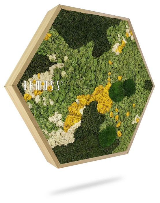 Une œuvre d'art hexagonale à cadre en bois intitulée « Tableau de mousse Ellipse BEMOSS® ORTHO OLVERA » présente un arrangement de mousse préservée verte, jaune et blanche. Ce tableau de mousse vibrant crée un motif complexe et naturel, offrant une esthétique fraîche et organique au décor encadré.