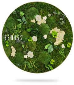 Une œuvre d'art murale verte circulaire de BEMOSS présentant une variété de mousse préservée, de fleurs blanches et de verdure disposées dans un mélange de textures et de formes. Le fond est blanc, mettant en valeur les éléments vibrants et naturels de ce Tableau de mousse rond PLANTES Arce.