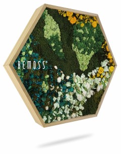 Un cadre en bois hexagonal présente un arrangement vibrant de mousse verte préservée et de diverses fleurs colorées, y compris des nuances de bleu, de blanc et de jaune. Le design luxuriant et complexe présente un mélange de textures et d’éléments floraux. Le mot « Hexagone de mousse PLANTES Arce » est élégamment présent sur une face, ce qui en fait un tableau de mousse unique.