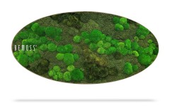 Une décoration murale de forme ovale présentant une surface de mousse verte luxuriante de différentes nuances et textures. Le nom de la marque "BEMOSS" est visible sur le côté gauche de ce Tableau de mousse Ellipse BOLMOSS DUO Natural Green. La mousse donne un aspect naturel et organique, et la pièce entière est surélevée par rapport à l'arrière-plan, projetant une ombre.