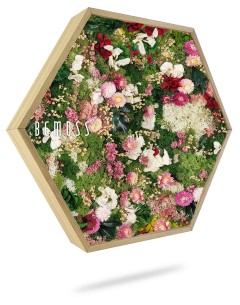 Un cadre hexagonal en bois rempli d'un assortiment de fleurs colorées, notamment des fleurs roses, blanches et rouges, ainsi que du feuillage vert. Les fleurs sont disposées étroitement, créant un affichage dense et vibrant. Le mot « BEMOSS » est écrit sur le côté gauche, ce qui en fait un superbe Tableau de mousse PLANTES Lomo.