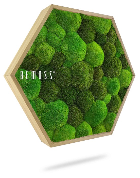 Un cadre hexagonal contenant de la mousse verte luxuriante et vibrante dans différentes nuances est monté sur un fond blanc. Le cadre a un bord en bois clair, et le nom de la marque 