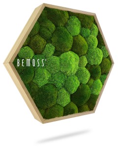 Pièce d'art murale hexagonale avec un cadre en bois, présentant un arrangement de mousse verte luxuriante formant un motif de taches circulaires. La mention « Tableau de mousse Ellipse BOLMOSS DUO Natural Green » est imprimée sur le devant, lui conférant un aspect élégant rappelant les Murs végétaux.