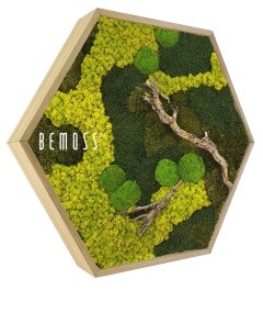 Cadre hexagonal en bois rempli de mousse préservée verte et jaune et de petites branches de bois naturel disposées selon un motif inspiré de la nature. Le design crée un look vibrant et texturé. Le mot « BEMOSS » est imprimé sur le cadre, ajoutant une touche élégante à ces Hexagone de mousse BEMOSS® ORTHO BORJA uniques.