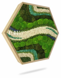 Un cadre en bois hexagonal contient un arrangement artistique de mousse préservée dans différentes nuances de vert, avec des accents de mousse blanche et bleue. Le mot « Hexagone de mousse BEMOSS® ORTHO BORJA » est élégamment inscrit dans la partie supérieure gauche. Ressemblant à des murs en mousse, le cadre semble flotter sur un fond blanc immaculé.