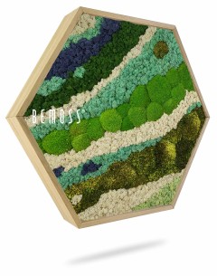 Cadre hexagonal en bois contenant un arrangement artistique de mousse préservée dans diverses nuances de vert, de bleu et de blanc, ressemblant à un paysage abstrait inspiré de la nature. Le mot « BEMOSS » est affiché sur le côté gauche du cadre, mettant en valeur un superbe Hexagone de mousse BEMOSS® ORTHO BORJA.