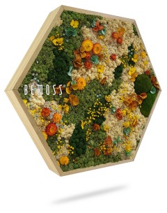 Cadre en bois hexagonal avec un arrangement de mousse et de plantes multicolores et vibrantes. Différentes nuances de vert, jaune, orange et marron créent un affichage texturé et luxuriant. Le nom de la marque « BEMOSS » est visible sur un côté. Le cadre projette une ombre en dessous. Parfait pour créer de superbes affichages Tableau de mousse rond PLANTES Cupido ou murs végétaux.