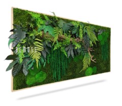 Un jardin vertical rectangulaire aux diverses nuances de feuillage vert, dont des fougères et des mousses, disposé sur une charpente en bois. La verdure est luxuriante et texturée, donnant une esthétique vibrante et naturelle. Le mot "Tableau de mousse PLANTES Nihara" est visible sur le côté gauche de ce magnifique tableau de mousse.