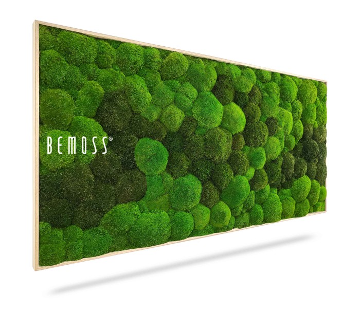 Hexagone de mousse PLANTES Lomo avec un cadre en bois, présentant différentes nuances de mousse verte disposées selon un motif texturé et naturel. Ce tableau de mousse s'affiche sur un fond blanc.