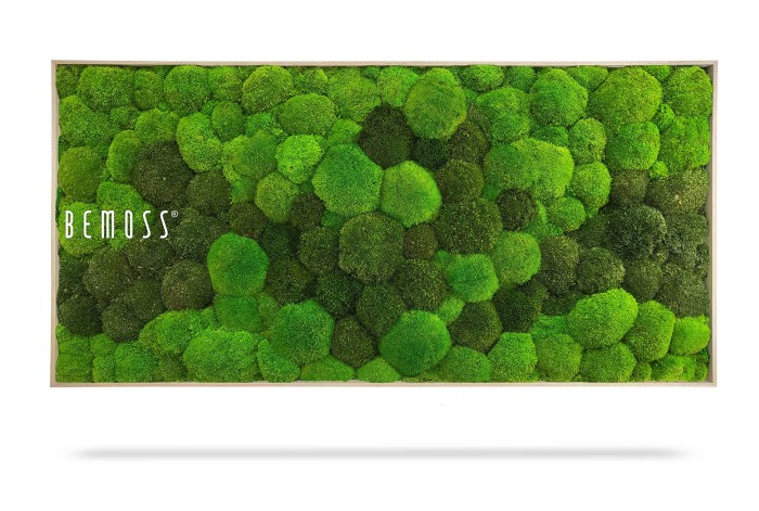 Une décoration murale rectangulaire présente un paysage de mousse verte luxuriant et varié. La mousse est disposée selon un motif de grappes denses et texturées. Les mots « Hexagone de mousse PLANTES Lomo » sont élégamment écrits sur le côté gauche de ce superbe tableau de mousse.