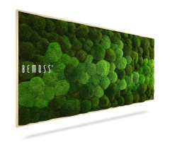 Un panneau rectangulaire avec une texture de mousse verte naturelle est affiché. Le panneau indique « BEMOSS® » sur le côté gauche. La mousse est luxuriante et vibrante, avec différentes nuances de vert, offrant un aspect texturé et organique sur un fond blanc uni. Ce Tableau de mousse Ellipse BOLMOSS DUO Natural Green ajoute de la vie à n'importe quel espace.