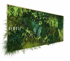 Une grande installation rectangulaire Tableau de mousse PLANTES Parador présentant un jardin vertical luxuriant avec diverses plantes vertes, feuilles et fougères. Le mot « BEMOSS » est affiché en blanc sur le côté gauche de l'installation.