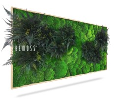 Un cadre rectangulaire vertical avec de la mousse verte luxuriante et diverses fougères astucieusement disposées à l’intérieur. L’arrangement crée un affichage naturel, vibrant et texturé. Le mot « BEMOSS » est visible sur le côté gauche du cadre, mettant en valeur la beauté du Tableau de mousse PLANTES Lomo.