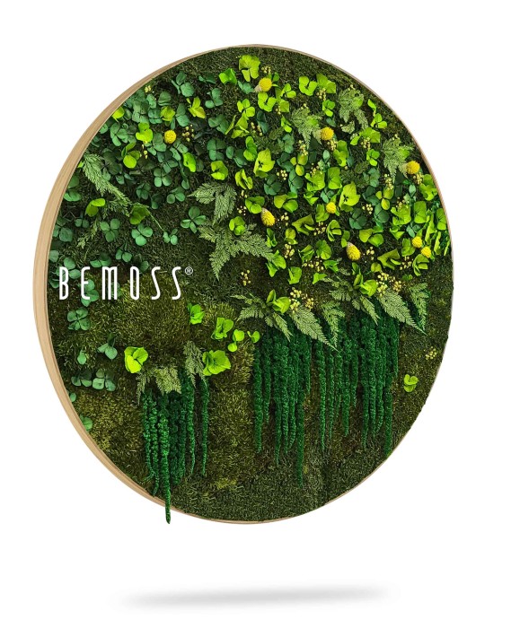 Une décoration murale ronde de BEMOSS met en valeur un luxuriant Hexagone de mousse PLANTES Lomo avec diverses mousses vertes et fougères. Le mélange de textures et de nuances crée un aspect vibrant et naturel, élégamment enfermé dans un cadre circulaire en bois.