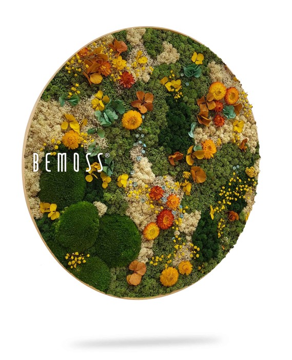 Une décoration murale ronde présente un arrangement de mousse, de fleurs et de feuillages préservés dans des tons de vert, jaune, orange et marron. La verdure et les éléments floraux forment de manière créative un paysage naturel. Le logo BEMOSS est visible à gauche, mettant en valeur ce magnifique Tableau de mousse PLANTES Lomo.