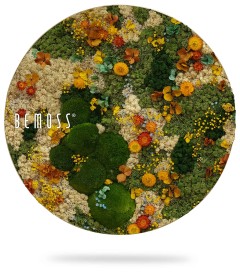 Une œuvre d'art murale circulaire de Bemoss, présentant une mousse vibrante et un arrangement floral. Le design combine diverses nuances de mousse verte avec des fleurs orange, jaunes et brunes, créant un affichage luxuriant et texturé. Le Tableau de mousse PLANTES Lomo présente le logo Bemoss sur le côté gauche.