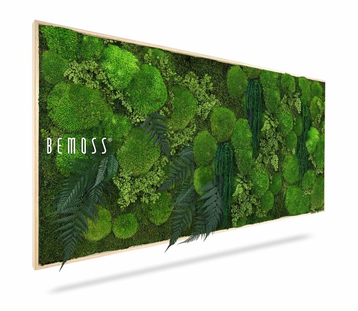 Un jardin vertical encadré, ou Tableau de mousse PLANTES Parador, présente une variété de mousses vertes et de fougères. L’arrangement présente différentes textures et nuances de vert, créant un aspect luxuriant et naturel. Le mot « BEMOSS » apparaît sur le côté gauche du cadre en lettres blanches.