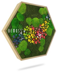 Un cadre en bois hexagonal renferme un arrangement de mousse préservée et de fleurs éclatantes dans une variété de couleurs, formant un design abstrait inspiré de la nature. Le mot « BEMOSS » est imprimé sur le côté gauche du cadre, renforçant l'effet 3D. Cet élégant Tableau de mousse BEMOSS® ORTHO TOCÓN apporte une touche de verdure à l'intérieur.