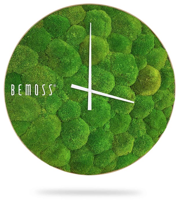 Une horloge murale ronde avec une surface de mousse verte et des aiguilles blanches, affichant l'heure à 10h08. L'horloge a un aspect naturel et texturé rappelant le tableau de mousse et porte le nom « Horloge de mousse BOLMOSS Minerva avec cadran » sur le côté gauche. L'ombre ci-dessous suggère qu'elle est placée sur un fond blanc.