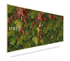 Une décoration murale de jardin verticale rectangulaire présente divers types de mousse, de fougères et de feuilles vertes vibrantes, rehaussées de feuillage brun rougeâtre. La pièce a un cadre en bois et le mot « BEMOSS » est affiché sur le côté gauche, ce qui en fait un tableau de mousse parfait pour n'importe quel espace.