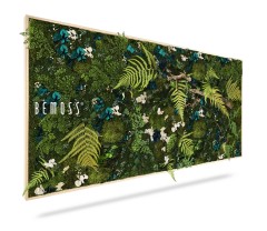 Un cadre de jardin vertical rectangulaire de BEMOSS, connu pour ses superbes Murs végétaux, présente diverses plantes vertes, fougères et petites fleurs blanches. Le feuillage luxuriant est disposé pour créer une œuvre d’art vivante texturée et vibrante.