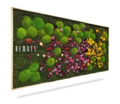 Un cadre artistique rectangulaire en mousse présentant un mélange de mousse verte luxuriante et une variété de fleurs colorées préservées, disposées en grappes. La mention « Tableau de mousse PLANTES Parra » est visible sur le côté gauche du cadre. Le cadre a un bord en bois naturel.