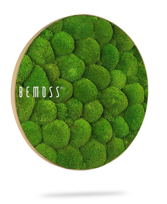 Une œuvre d'art murale ronde de BEMOSS présentant une surface de mousse vibrante, verte et texturée enfermée dans un mince cadre en bois. La mousse luxuriante, disposée en différentes nuances pour un effet tridimensionnel, constitue un superbe tableau de mousse. Le nom de la marque « BEMOSS » est visible à gauche.