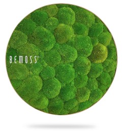 Une décoration murale ronde et luxuriante en mousse verte avec différentes nuances et textures de mousse. Le mot « BEMOSS® » est écrit en lettres blanches stylisées sur le côté gauche du cercle. Ce tableau de mousse projette une ombre douce en dessous, lui donnant un aspect flottant.