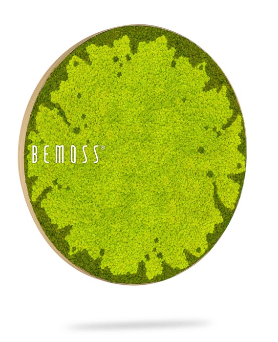 Cette image montre une pièce Tableau de mousse rond BEMOSS® MARE. Il présente de la mousse préservée d’un vert éclatant disposée dans un cadre circulaire, créant un élément de décoration naturel et texturé. Le cadre projette une légère ombre sur un fond blanc, ajoutant de la profondeur au tableau de mousse.