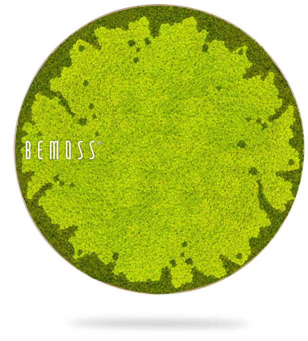 Un Tableau de mousse rond BEMOSS® MARE de BEMOSS, avec de la mousse vert vif disposée selon un motif complexe et texturé. La mousse luxuriante et d’un vert vif contraste avec des bordures vertes plus foncées, ressemblant à une mosaïque naturelle et organique.