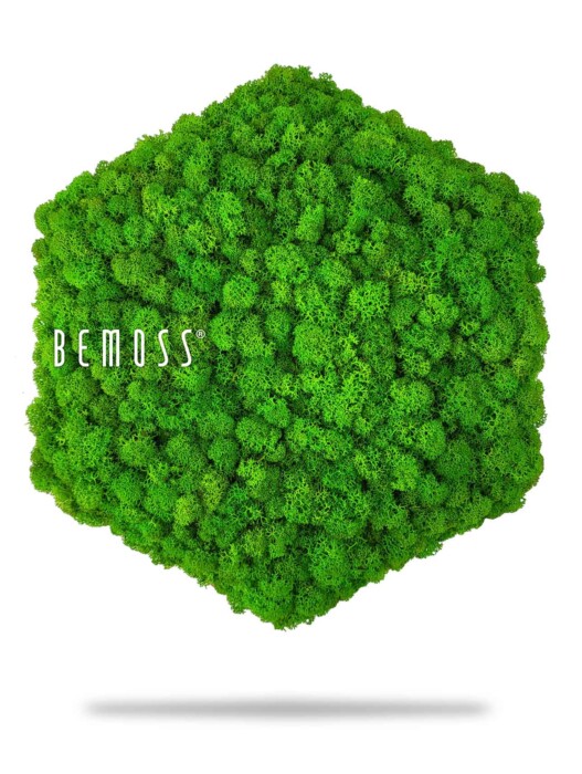 Une œuvre d'art murale hexagonale fabriquée à partir de mousse préservée d'un vert vif, avec le mot « BEMOSS » en texte blanc sur le côté gauche. La mousse luxuriante et dense forme une esthétique texturée et naturelle sur un fond blanc uni, parfaite pour ceux qui apprécient la décoration murs en mousse.