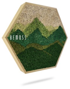 Une superbe œuvre d'art murale hexagonale présentant un motif superposé composé de mousse verte et beige qui crée un paysage abstrait ressemblant à des collines ou des montagnes. Le tableau de mousse est encadré de bois clair et porte le nom de la marque « BEMOSS® » sur le côté gauche.