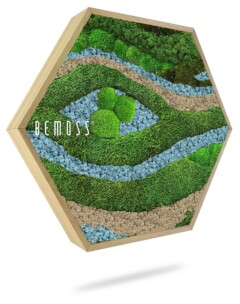 Cadre hexagonal en bois contenant un arrangement artistique de mousse préservée dans diverses nuances de vert, marron et bleu, créant un motif visuellement attrayant. Le nom de la marque « BEMOSS » est visible sur le côté gauche du tableau de mousse, rappelant d'élégants murs végétaux.