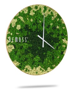 Une horloge murale ronde dotée d'un cadran en mousse vert et beige luxuriant, conçue par BEMOSS, rappelant un délicat tableau de mousse. L'horloge est dotée d'aiguilles des heures et des minutes blanches minimalistes, sans chiffres ni marqueurs, donnant un aspect organique et naturel à la montre.