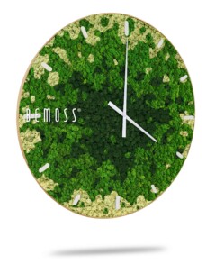 Une horloge murale moderne avec un cadran recouvert de mousse verte et des aiguilles blanches minimalistes des heures et des minutes. L'horloge ne comporte aucun chiffre et le nom de la marque « BEMOSS » est visible sur le côté gauche du cadran. L'horloge affiche une ombre en dessous, suggérant qu'elle est montée sur des murs comportant des murs en mousse.