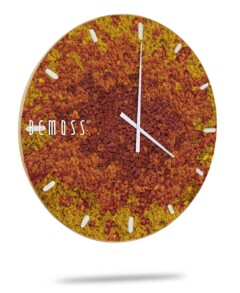 Une horloge murale avec le nom de la marque « BEMOSS » en blanc sur le côté gauche. Le cadran de l'horloge, ressemblant à un tableau de mousse, est texturé avec un mélange de mousse ou de lichen rouge et jaune. Il comporte des aiguilles blanches minimalistes des heures et des minutes et des index blancs sans chiffres.