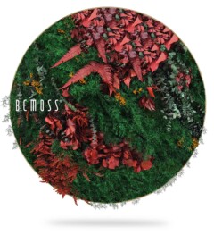 Une œuvre d'art murale circulaire remplie de verdure, de fougères rouges, de feuilles rouges et de petites fleurs jaunes. Le tableau de mousse vif et naturel porte le nom « BEMOSS » sur le côté gauche.