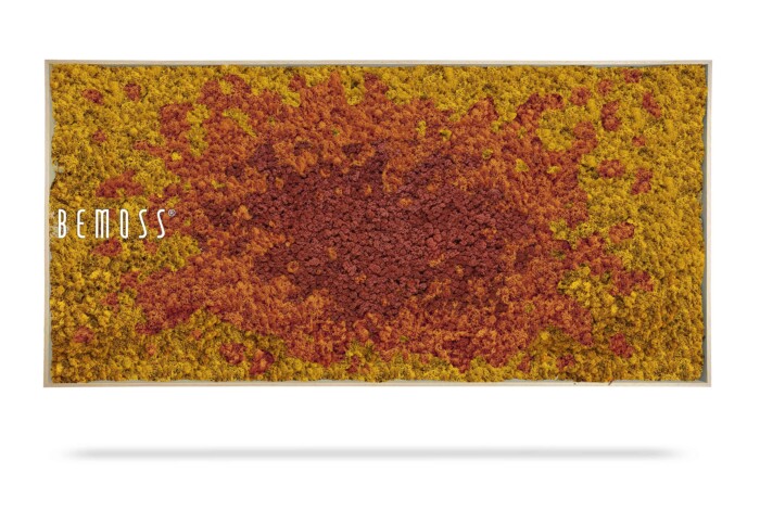 Un Tableau de mousse rectangulaire BEMOSS® SPLASH Sienna rempli de mousse préservée jaune vif et rouge, disposée selon un motif dégradé, passant du rouge au centre au jaune sur les bords. Le mot « BEMOSS » est affiché sur le côté gauche du cadre, projetant une ombre subtile en dessous.