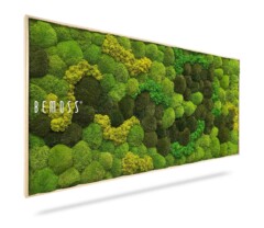 Un cadre rectangulaire contenant un arrangement artistique de mousse préservée dans diverses nuances de vert, créant une mosaïque texturée et naturelle. Le cadre est étiqueté du nom de la marque "Tableau de mousse BOLMOSS DUO Light Anento" sur le côté gauche. La composition a une esthétique moderne et écologique.