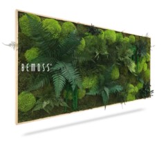 Une œuvre d'art murale encadrée rectangulaire présentant un arrangement tridimensionnel luxuriant de diverses mousses et fougères vertes. La verdure est dense et vibrante, donnant un aspect naturel et forestier. Le texte « Tableau de mousse PLANTES Acebo (Kópia) » est visible sur le côté gauche du cadre.